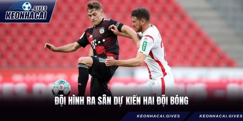 Đội hình ra sân dự kiến hai đội bóng