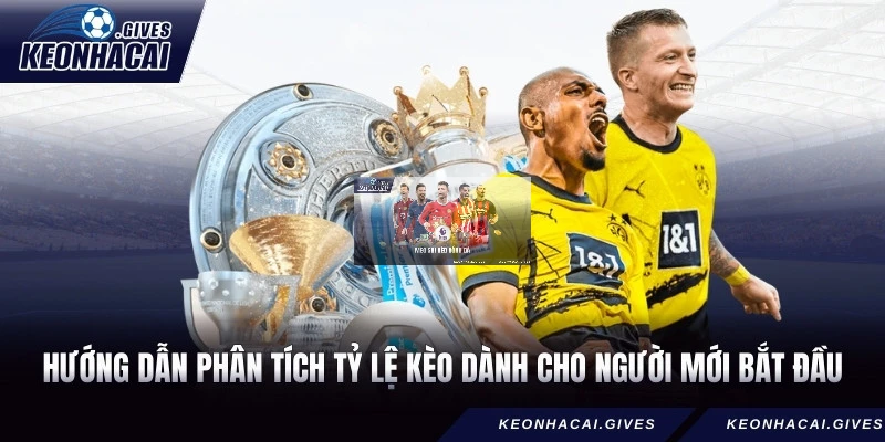 Hướng dẫn phân tích tỷ lệ kèo dành cho người mới bắt đầu