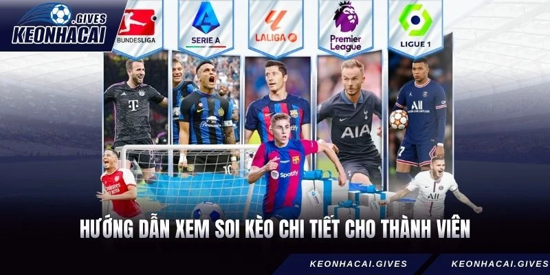 Hướng dẫn xem soi kèo chi tiết cho thành viên