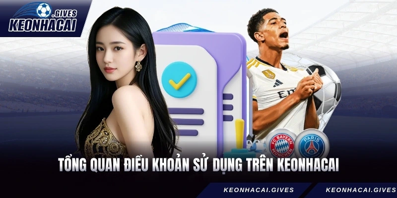 Tổng quan điều khoản sử dụng trên Kèo Nhà Cái