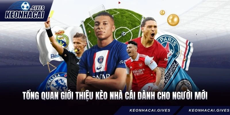 Tổng quan giới thiệu Kèo Nhà Cái dành cho người mới
