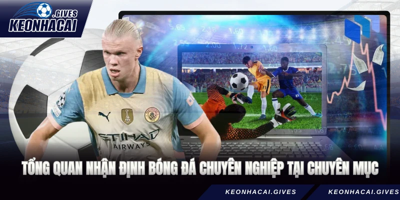 Tổng quan nhận định bóng đá chuyên nghiệp tại chuyên mục