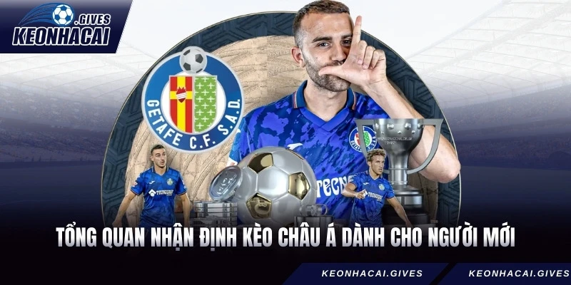 Tổng quan nhận định kèo châu Á dành cho người mới